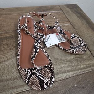 H&M Stylish Brown Snake Print Sandals